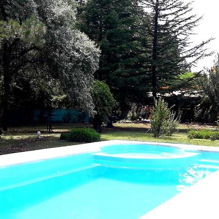 Casa Rural Entre Bodegas Y Vinedos ' El Jarillal" La Consulta Ngoại thất bức ảnh