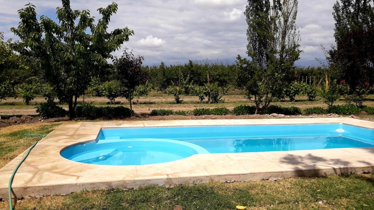 Casa Rural Entre Bodegas Y Vinedos ' El Jarillal" La Consulta Ngoại thất bức ảnh