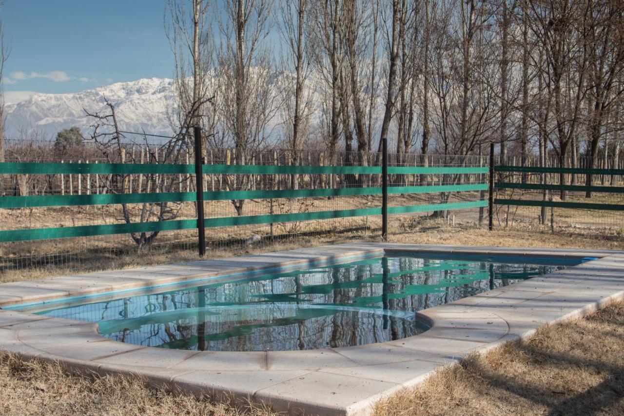 Casa Rural Entre Bodegas Y Vinedos ' El Jarillal" La Consulta Ngoại thất bức ảnh