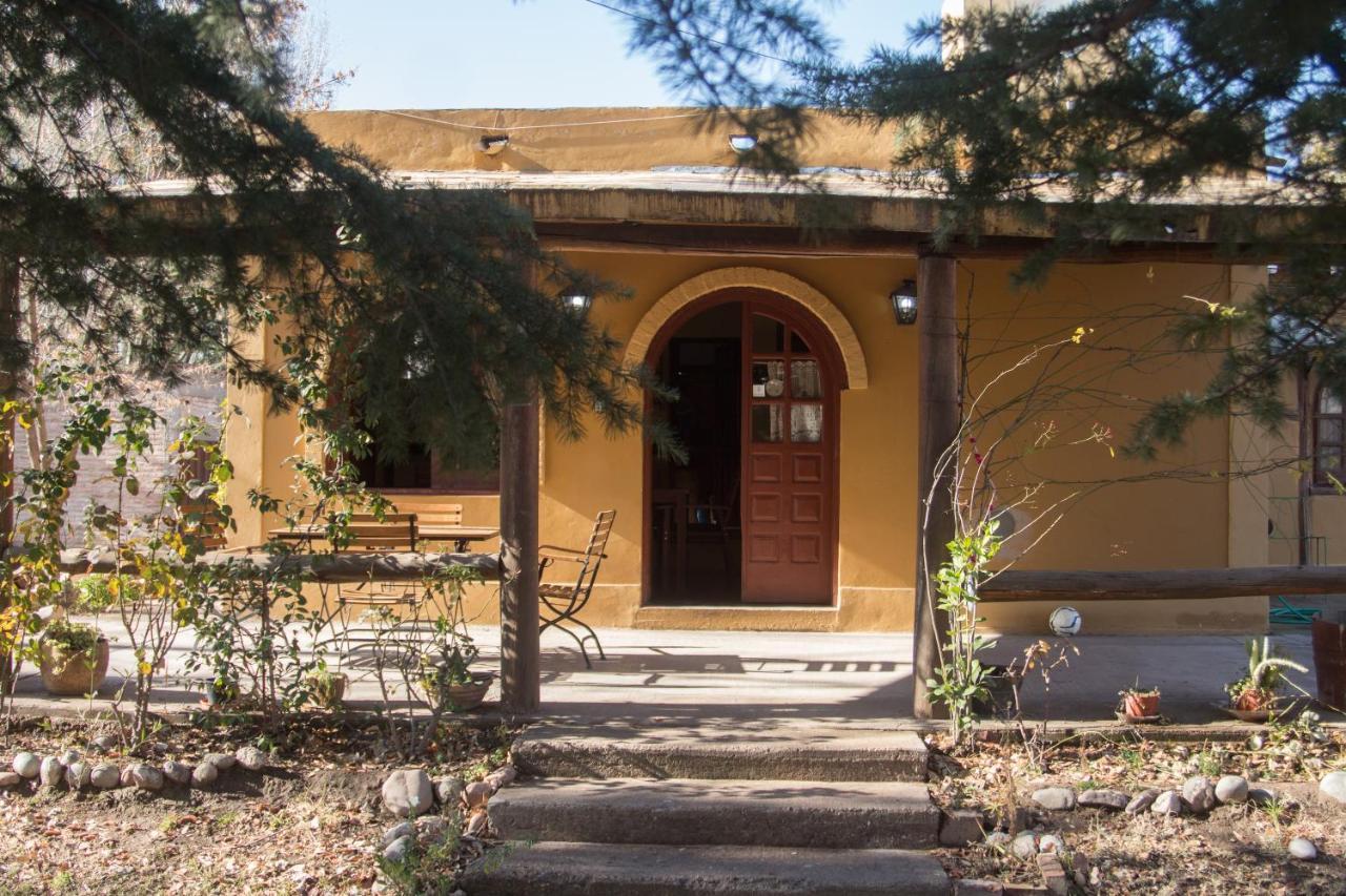 Casa Rural Entre Bodegas Y Vinedos ' El Jarillal" La Consulta Ngoại thất bức ảnh