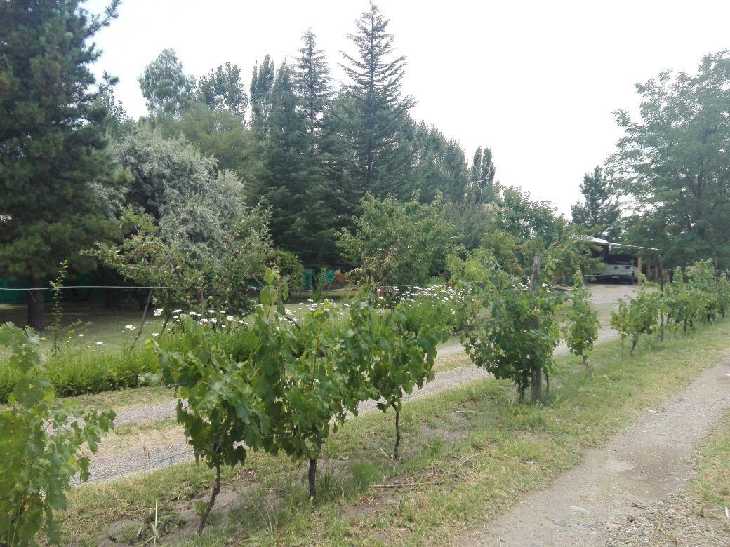 Casa Rural Entre Bodegas Y Vinedos ' El Jarillal" Guest House La Consulta Ngoại thất bức ảnh