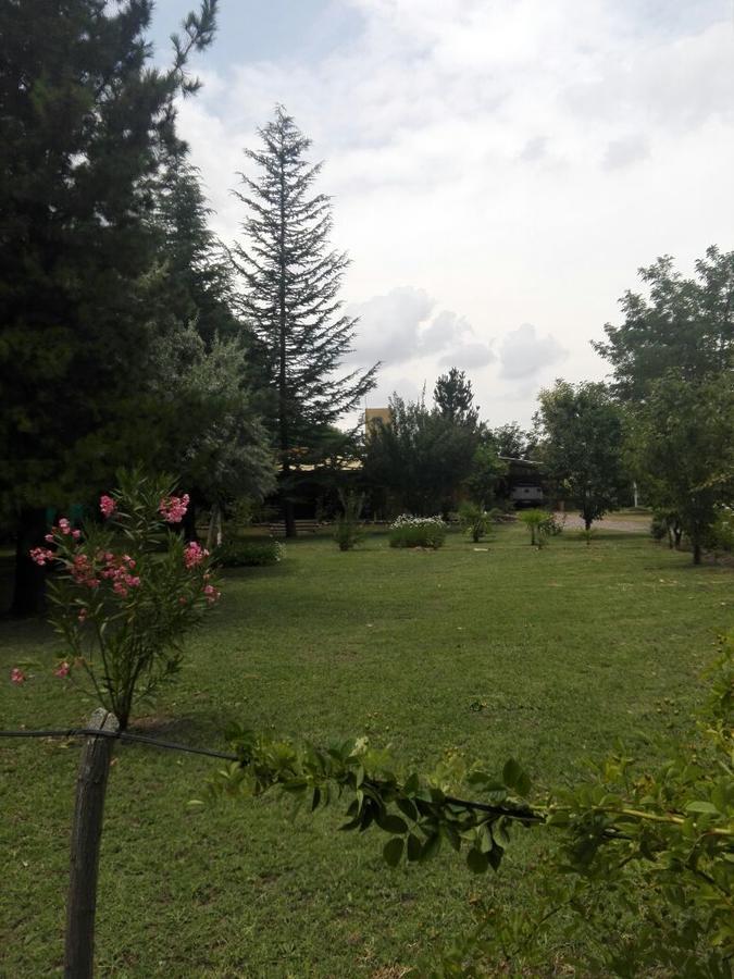 Casa Rural Entre Bodegas Y Vinedos ' El Jarillal" La Consulta Ngoại thất bức ảnh